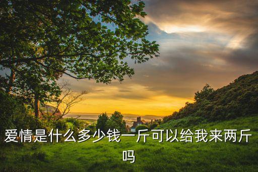 爱情是什么多少钱一斤可以给我来两斤吗