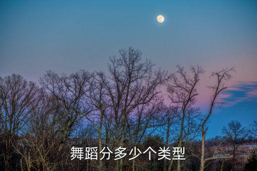 舞蹈分多少个类型