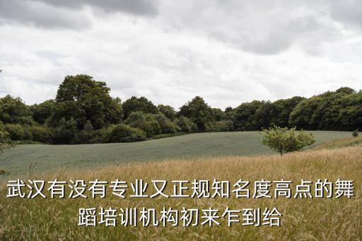 武汉有没有专业又正规知名度高点的舞蹈培训机构初来乍到给
