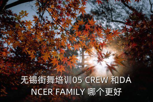 无锡街舞培训05 CREW 和DANCER FAMILY 哪个更好
