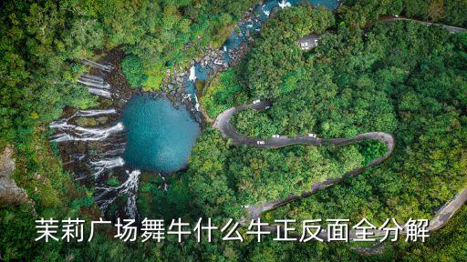 茉莉广场舞牛什么牛正反面全分解