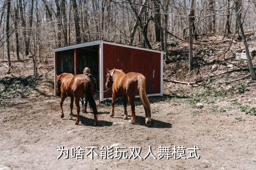 蝶依双人舞为什么不上线，双人舞蹈什么时候才出来
