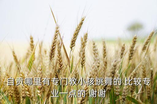 自贡星艺舞蹈学校，自贡哪里有学女性舞蹈的