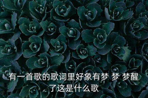 有一首歌的歌词里好象有梦 梦 梦醒了这是什么歌