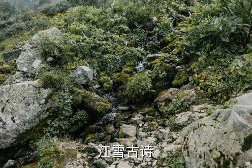 江雪古诗