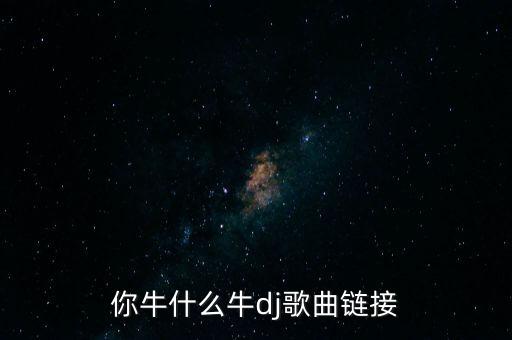 你牛什么牛dj歌曲链接