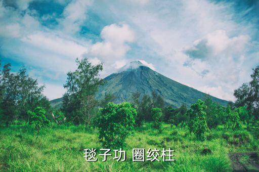 毯子功 圈绞柱