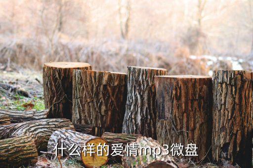 什么样的爱情mp3微盘