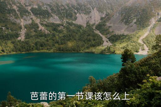 芭蕾舞课上都怎么上啊，芭蕾的第一节课该怎么上