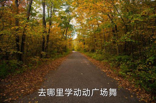 学广场舞哪个网，在哪可以学广场舞