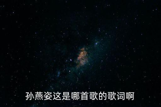 孙燕姿这是哪首歌的歌词啊