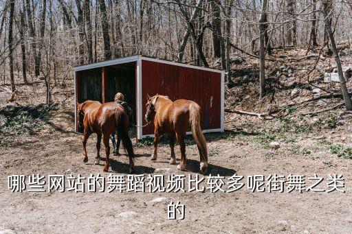 哪些网站的舞蹈视频比较多呢街舞之类的