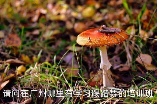 请问在广州哪里有学习踢踏舞的培训班