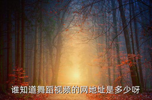 舞视频哪里多，谁知道舞蹈视频的网地址是多少呀