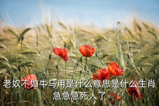 老奴不如牛马用是什么意思是什么生肖急急急死人了