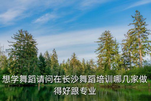 长沙舞蹈艺考培训学校排名，有哪位可以帮忙介绍下湖南比较好的舞蹈培训学校