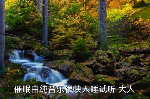 催眠曲纯音乐很快入睡试听 大人