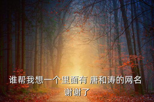 谁帮我想一个里面有 唐和涛的网名 谢谢了
