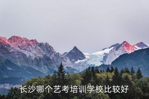 长沙哪个艺考培训学校比较好