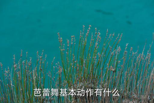 怎么做芭蕾舞的基础，初学芭蕾舞的基本功是什么