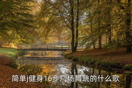 简单j健身16步广场舞跳的什么歌