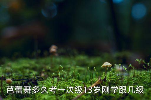 芭蕾舞多久考一次级13岁刚学跟几级