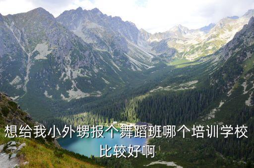 少儿舞蹈培训选用选内蒙古娃哈哈，想给我小外甥报个舞蹈班哪个培训学校比较好啊