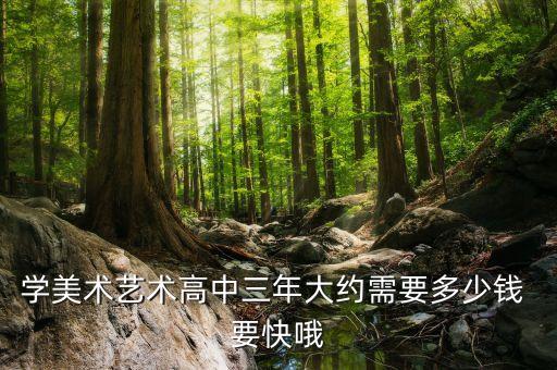 学美术艺术高中三年大约需要多少钱 要快哦