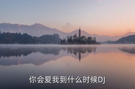 你会爱我到什么时候DJ