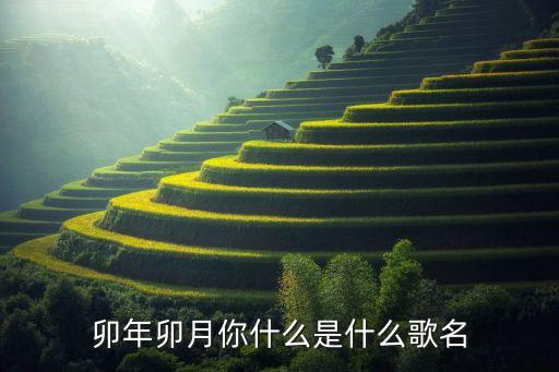 灿若火苗是什么歌，卯年卯月你什么是什么歌名