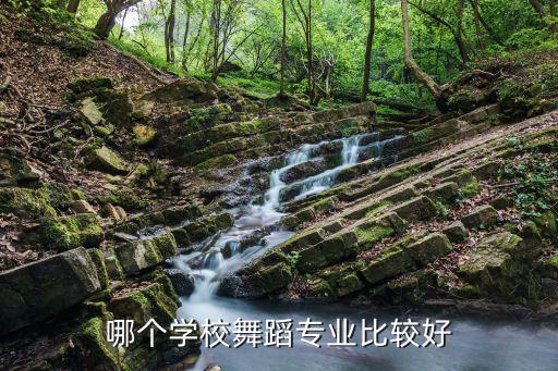 全国排名前十的舞蹈类大学名单，哪个学校舞蹈专业比较好