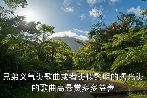 兄弟义气类歌曲或者类似黎明的曙光类的歌曲高悬赏多多益善