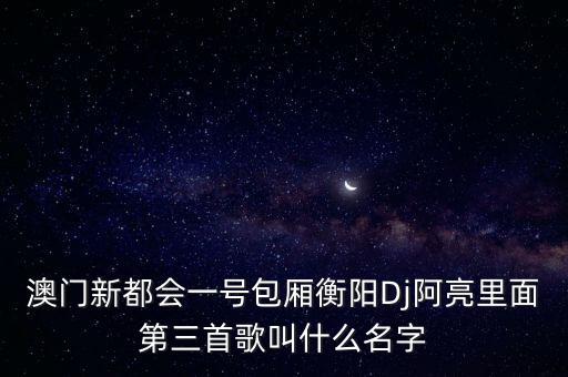 澳门新都会一号包厢衡阳Dj阿亮里面第三首歌叫什么名字