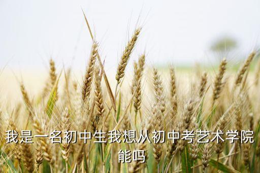我是一名初中生我想从初中考艺术学院 能吗