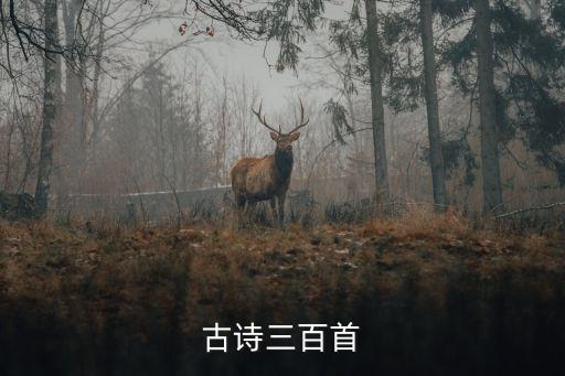 古诗三百首