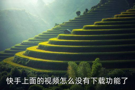 快手入口不需要下载，快手上面的视频怎么没有下载功能了