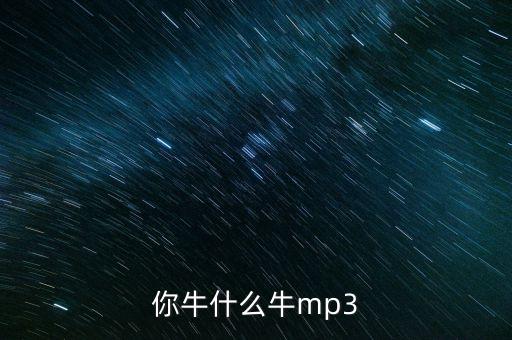 你牛什么牛mp3