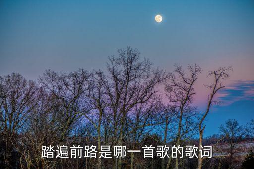 踏遍前路是哪一首歌的歌词