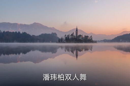 潘玮柏双人舞