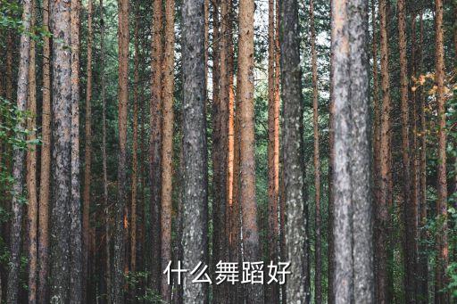 学什么舞蹈，学什么舞蹈好