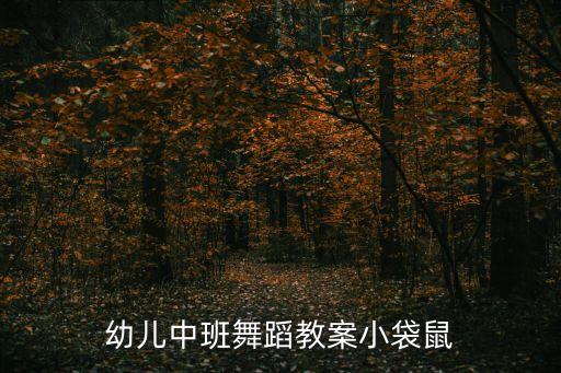 幼儿中班舞蹈教案小袋鼠