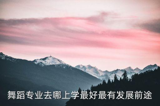 舞蹈专业报考的大学推荐，我是专业学舞蹈的考什么大学好呢