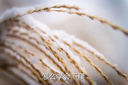怎么学会下腰