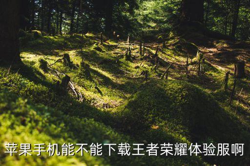 苹果手机能不能下载王者荣耀体验服啊