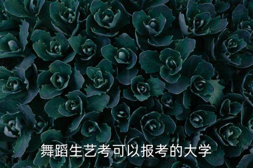 舞蹈生能考哪些本科大学，舞蹈生艺考可以报考的大学