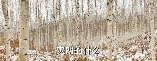 情朗的什么，爽朗的什么