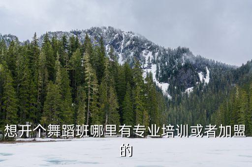 想开个舞蹈班哪里有专业培训或者加盟的