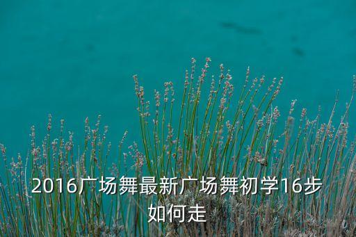 广场舞基本步教学视频全套，2016广场舞最新广场舞初学16步如何走