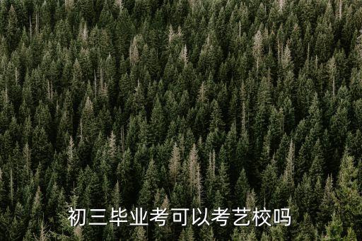 初三毕业考可以考艺校吗