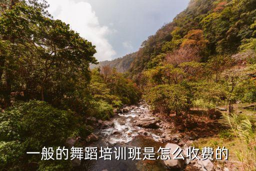 一般的舞蹈培训班是怎么收费的